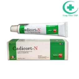 Cadicort-N - Thuốc điều trị vẩy nến, viêm da hiệu quả (10 type)