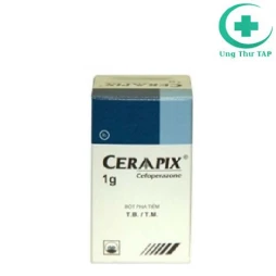 Ceraapix - Thuốc chống viêm túi mật, ống mật một cách hiệu quả