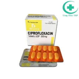 Ciprofloxacin 500mg Brawn - Thuốc điều trị nhiễm khuẩn hiệu quả