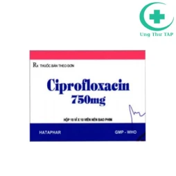 Ciprofloxacin 750mg Hataphar - Thuốc điều trị nhiễm khuẩn