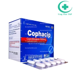 Cophacip 500mg Armephaco - Thuốc điều trị viêm, nhiễm khuẩn
