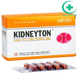 Kidneyton Lục vị - Bổ thận âm - Thuốc hỗ trợ tăng cường sức khỏe, sinh lực