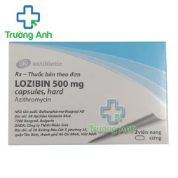 Lozibin 500mg - Thuốc điều trị nhiễm khuẩn đường hô hấp dưới