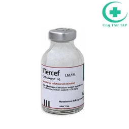 Fungocap 200mg capsules, hard - Thuốc phòng và trị nấm Candida