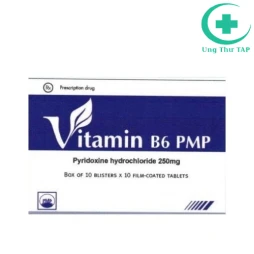 Vitamin B6 PMP 250mg - Điều trị các trường hợp thiếu vitamin B6