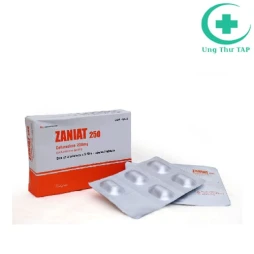 Amoxycilin 250mg Vidipha - Điều trị nhiễm trùng