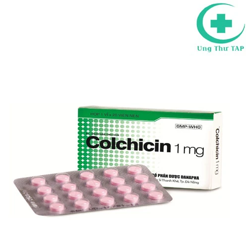 Colchicin 1g Danapha - Thuốc điều trị gout hàng đầu