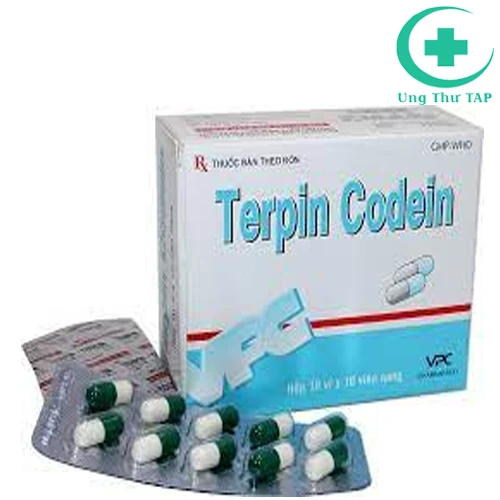 Terpin codein 3,9mg DCL - Thuốc điều trị ho khan, kích ứng