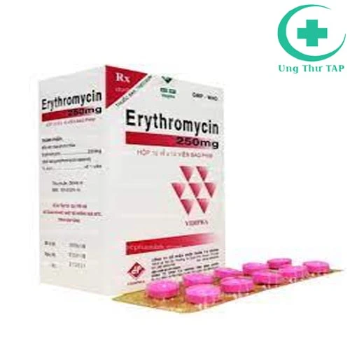 Erythromycin 250mg Vidipha - Thuốc điều trị nhiễm khuẩn hô hấp