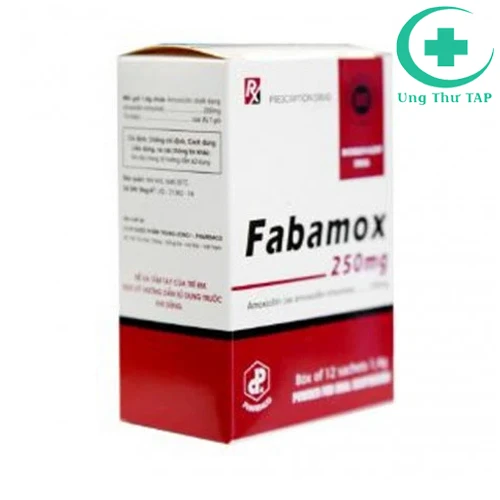 Fabamox 250mg (Bột pha hỗn dịch) - Thuốc trị nhiễm khuẩn hiệu quả