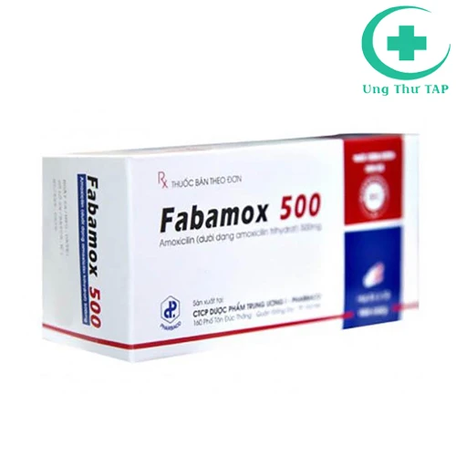 Fabamox 500mg - Thuốc trị nhiễm khuẩn hô hấp, da của Pharbaco