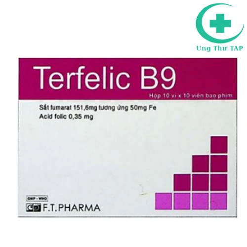 Terfelic B9 - Thuốc trị thiếu máu do thiếu sắt và acid folic