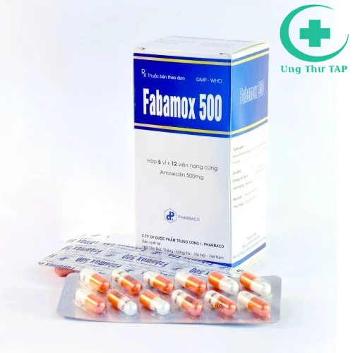 Fabamox 500 (Viên nang cứng) - Thuốc điều trị nhiễm khuẩn