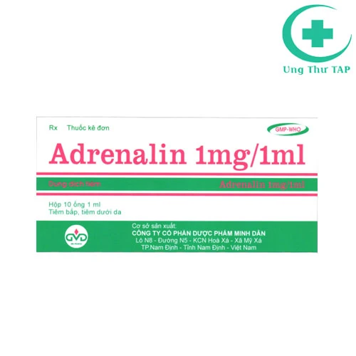 Adrenalin 1mg/1ml MD Pharco - Thuốc hồi sức tim phổi hiệu quả