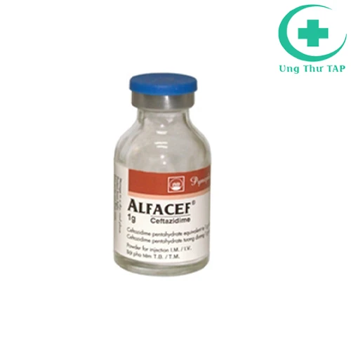 Alfacef 1g Pymepharco - Thuốc điều trị viêm họng, viêm amidan