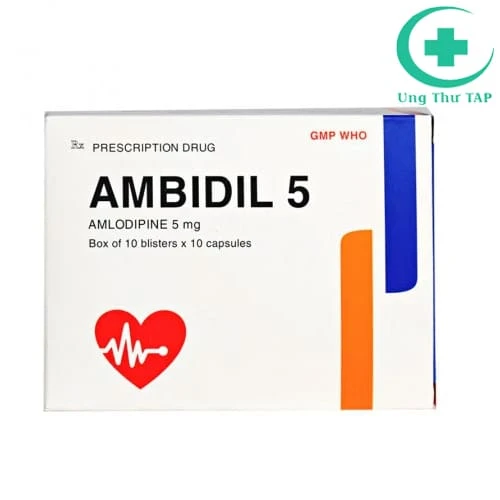 Ambidil 5 Bidiphar - Thuốc điều trị tăng huyết áp