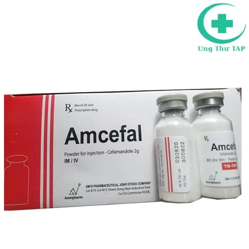 Amcefal 2g - Thuốc điều trị nhiễm khuẩn hiệu quả của Amvipharm