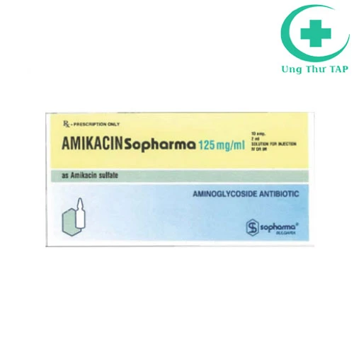 Amikacin 125mg/ml - Thuốc điều trị nhiễm khuẩn nặng của Bulgaria