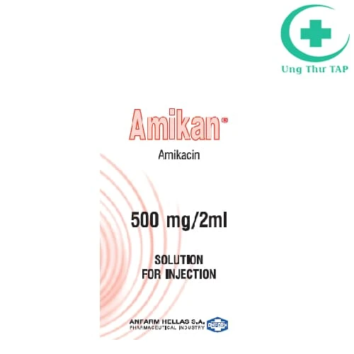 Amikan 500mg/2ml Anfarm - Thuốc nhiễm khuẩn chất lượng