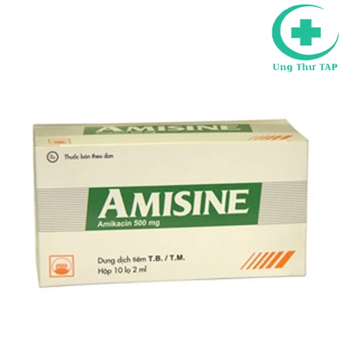 Amisine 500mg Pymepharco - Thuốc điều trị nhiễm khuẩn