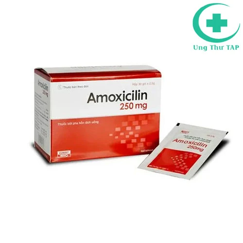 Amoxicilin 250 mg Pharbaco - Thuốc điều trị nhiễm khuẩn tốt nhất