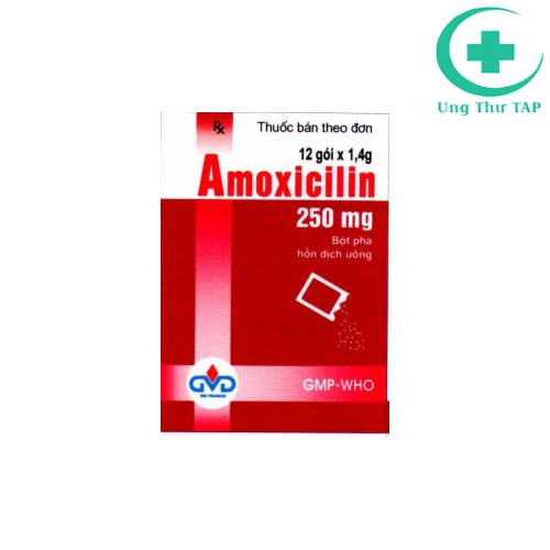 Amoxicilin 250mg 1,4g - Thuốc điều trị nhiễm khuẩn hàng đầu