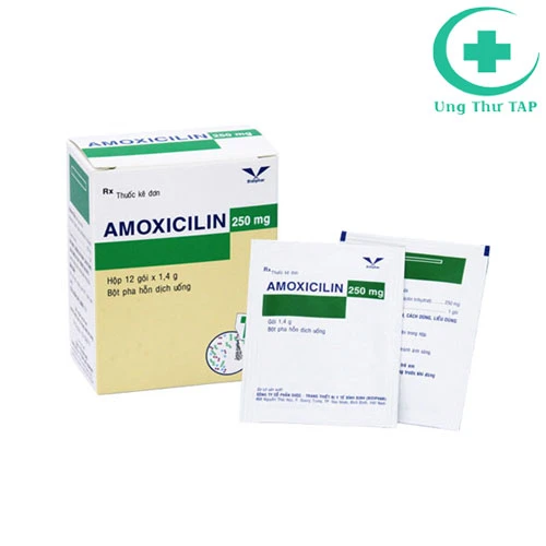 Amoxicilin 250mg Bidiphar - Thuốc điều trị nhiễm khuẩn tốt nhất