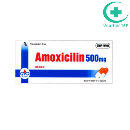 Amoxicilin 500mg - Thuốc điều trị nhiễm khuẩn hiệu quả