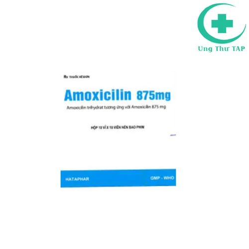 Amoxicilin 875mg - Thuốc điều trị nhiễm khuẩn của HATAPHAR