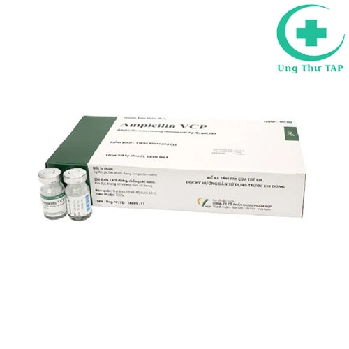 Ampicilin 1g VCP - Thuốc điều trị nhiễm khuẩn hàng đầu