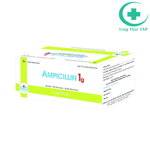 Ampicillin 1g MD Pharco - Thuốc điều trị nhiễm khuẩn hàng đầu