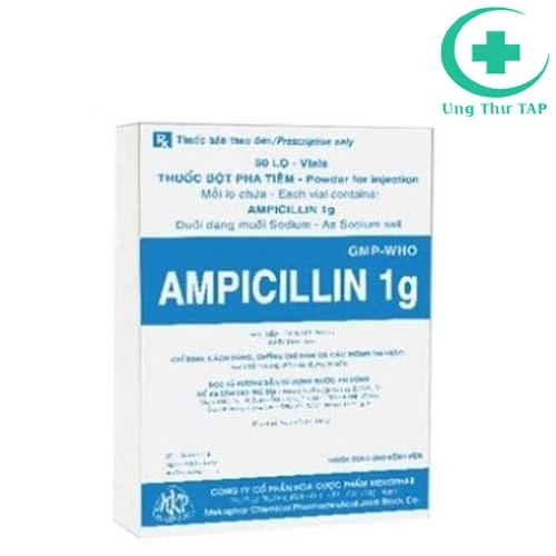 Ampicillin 1g Mekophar - Thuốc  điều trị nhiễm trùng hiệu quả