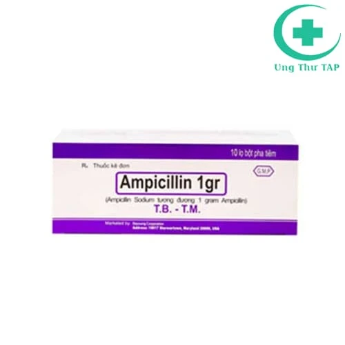 Ampicillin 1gr Mỹ -  Thuốc điêu trị viêm, nhiễm khuẩn hiệu quả