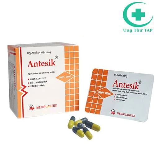 Antesik - Thuốc trị rối loạn tiêu hóa, tiêu chảy, viêm đại tràng hiệu quả