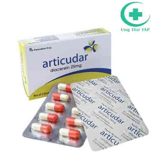 Articudar 25mg - Thuốc điều trị các bệnh về xương khớp