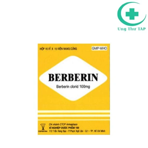 Berberin 100mg Armephaco - Thuốc điều trị bệnh ly trực khuẩn