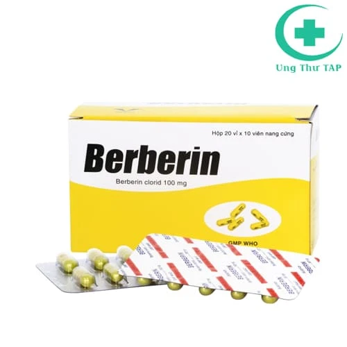 Berberin 100mg - Thuốc điều trị nhiễm trùng đường ruột hiệu quả