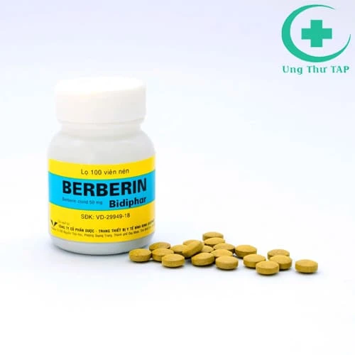 Berberin Bidiphar 50mg - Thuốc điều trị nhiễm trùng đường ruột