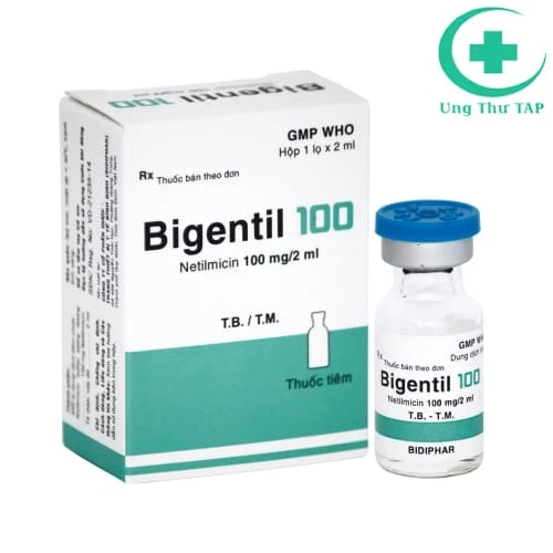 Bigentil 100 Bidiphar - Thuốc điều trị nhiễm khuẩn