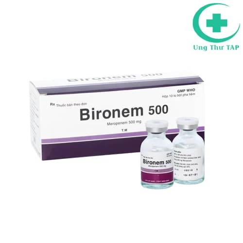 Bironem 500 Bidiphar - Thuốc điều trị nhiễm khuẩn