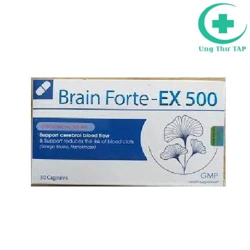Brain Forte EX 500 - Hỗ trợ tăng cường tuần hoàn máu não