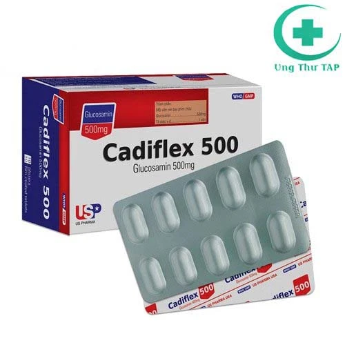 Cadiflex 500- Thuốc điều trị thoái hóa khớp gối nhẹ và trung bình