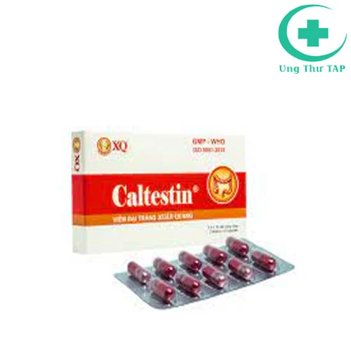 Caltestin - điều trị các bệnh đại tràng của Đông Dược Xuân Quang