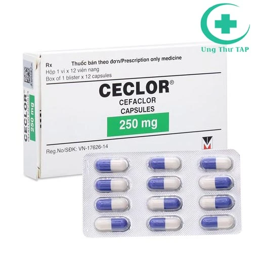 CECLOR 250mg - Thuốc điều trị nhiễm trùng đường hô hấp