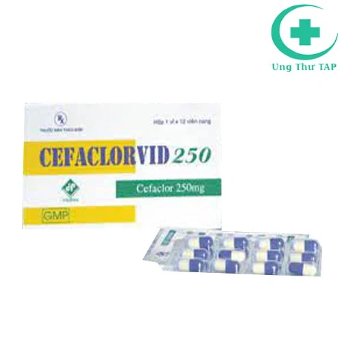 Cefaclorvid 250 Vidipha -  Thuốc kháng sinh điều trị nhiễm khuẩn
