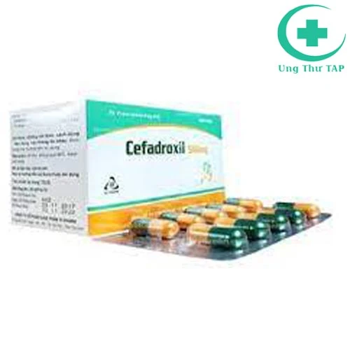Cefadroxil 1000mg - Thuốc kháng sinh điều trị nhiễm khuẩn