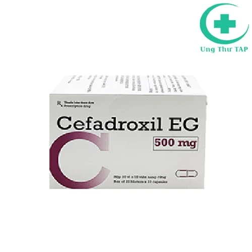 Cefadroxil EG 500mg - Thuốc điều trị các nhiễm khuẩn