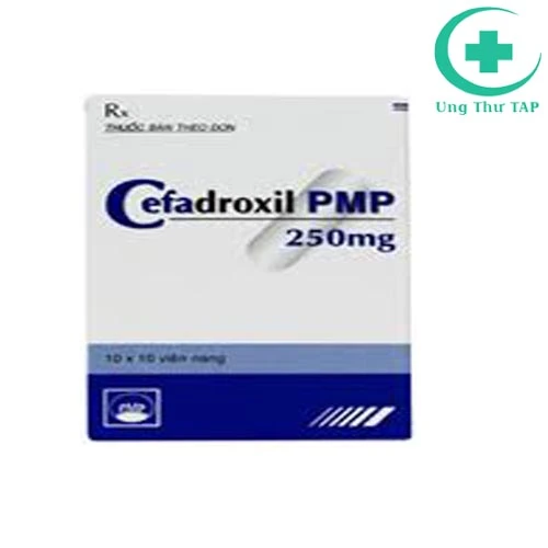 Cefadroxil PMP 250mg - Thuốc điều trị nhiễm khuẩn của Pymepharco