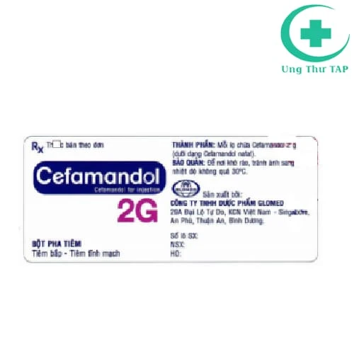 Cefamandol 2g Pharbaco - Thuốc điều trị viêm, nhiễm khuẩn