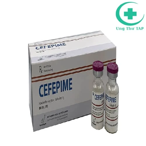 Cefepime 1g Amvipharm - Thuốc nhiễm khuẩn chất lượng
